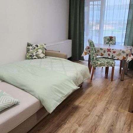 Butterfly Apartment Τιμισοάρα Εξωτερικό φωτογραφία