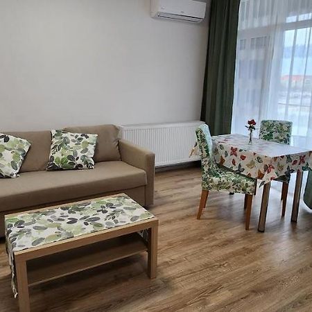 Butterfly Apartment Τιμισοάρα Εξωτερικό φωτογραφία