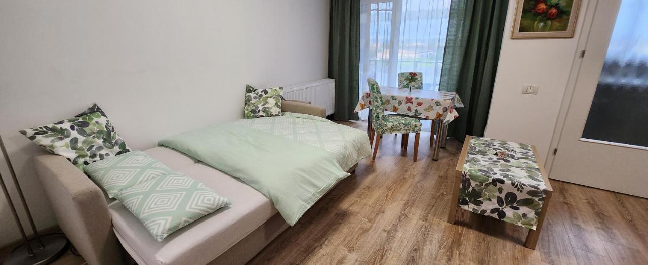 Butterfly Apartment Τιμισοάρα Εξωτερικό φωτογραφία