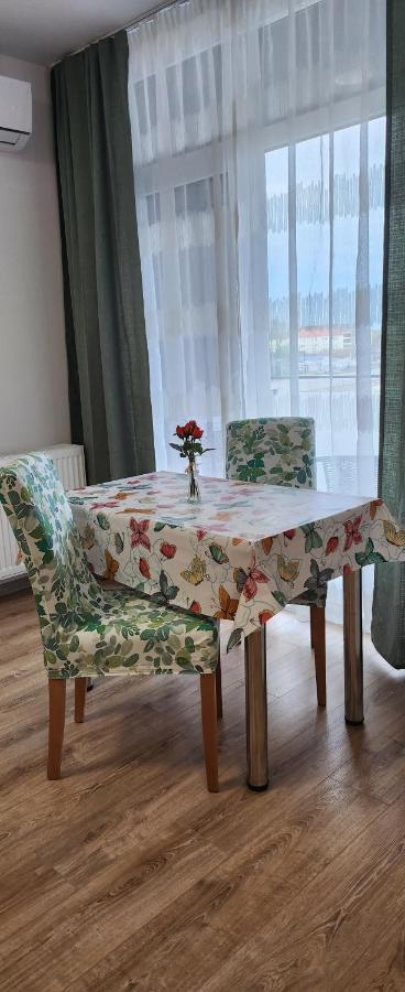Butterfly Apartment Τιμισοάρα Εξωτερικό φωτογραφία