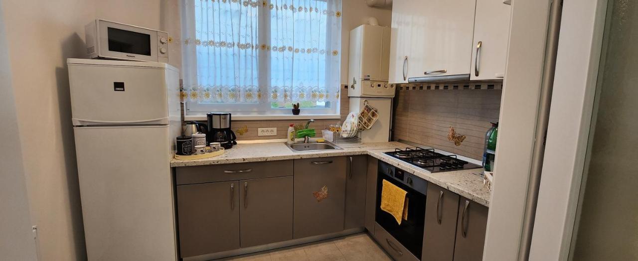 Butterfly Apartment Τιμισοάρα Εξωτερικό φωτογραφία