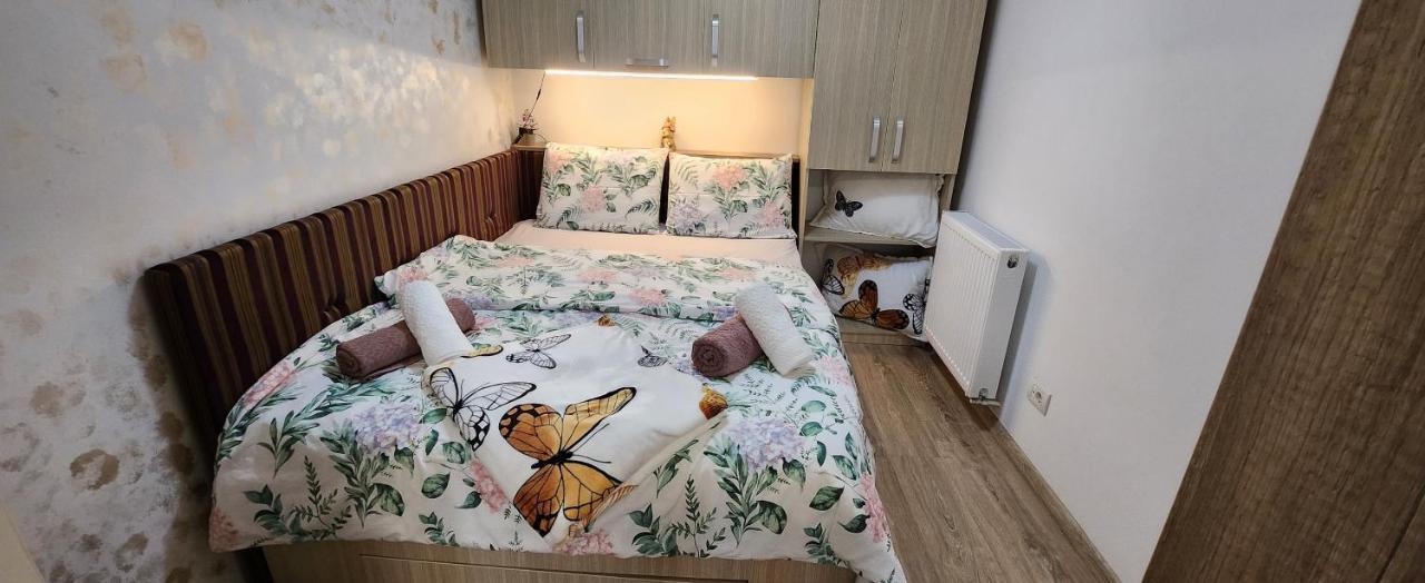 Butterfly Apartment Τιμισοάρα Εξωτερικό φωτογραφία