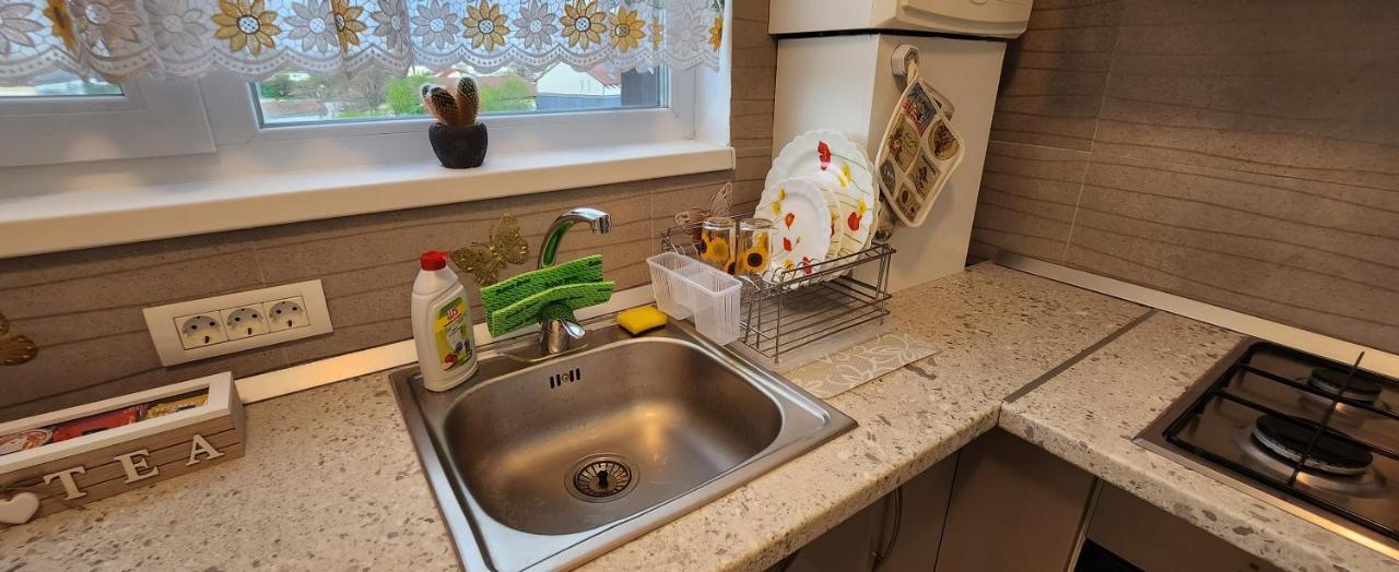 Butterfly Apartment Τιμισοάρα Εξωτερικό φωτογραφία