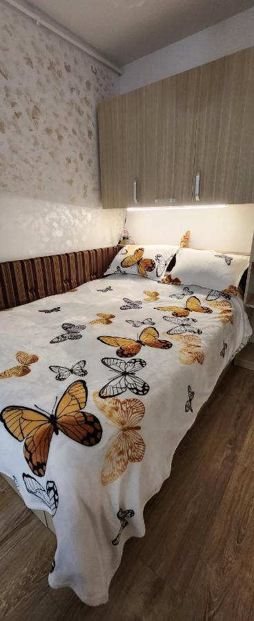 Butterfly Apartment Τιμισοάρα Εξωτερικό φωτογραφία