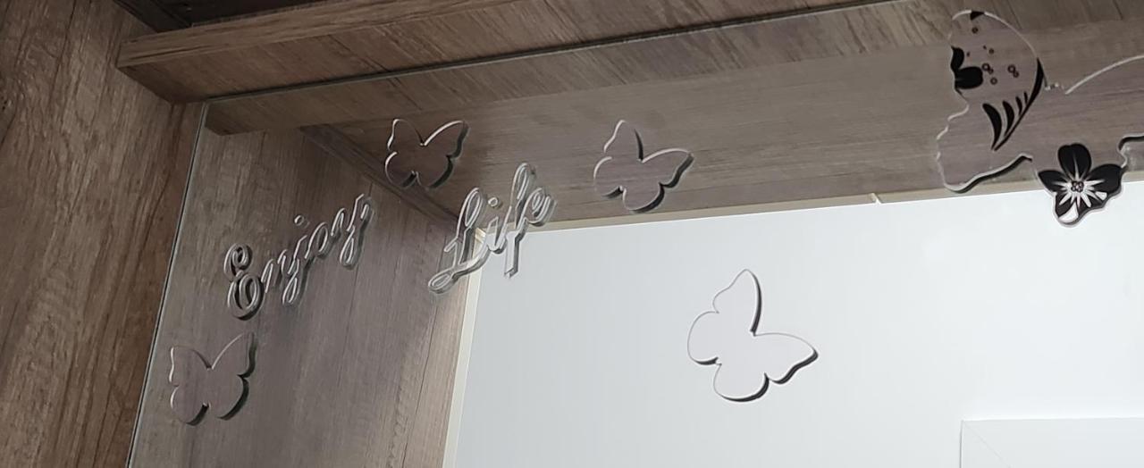 Butterfly Apartment Τιμισοάρα Εξωτερικό φωτογραφία